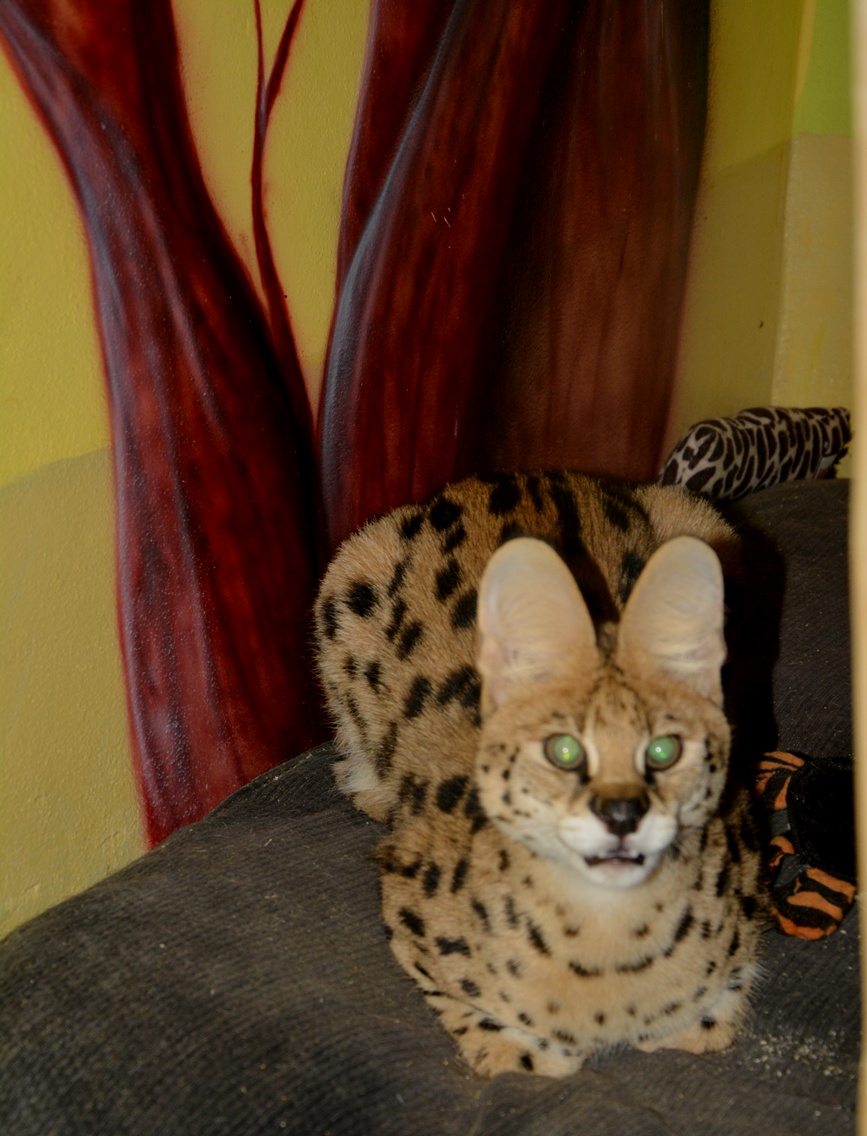 DSC_0002