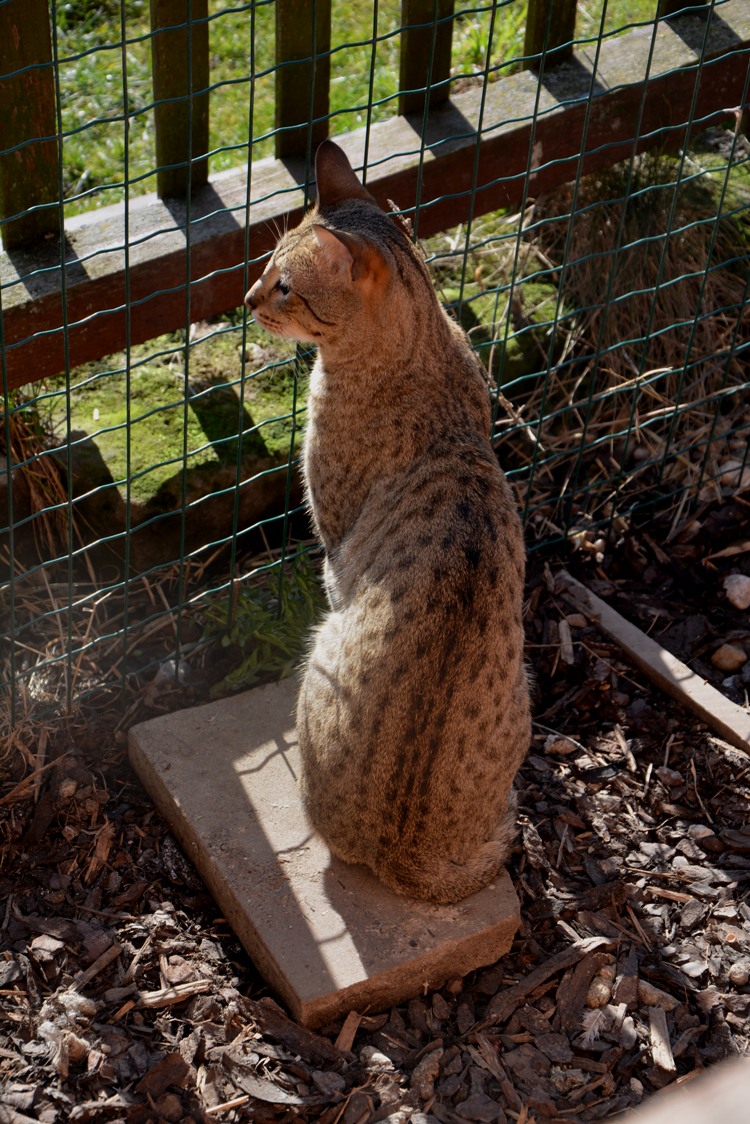 DSC_0061